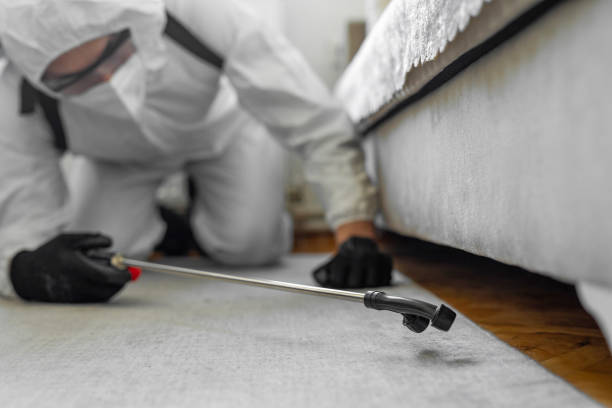 Professional Cockroach Control technician working in Barre, VT